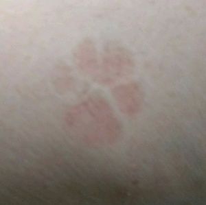 Meet your Posher, Jane